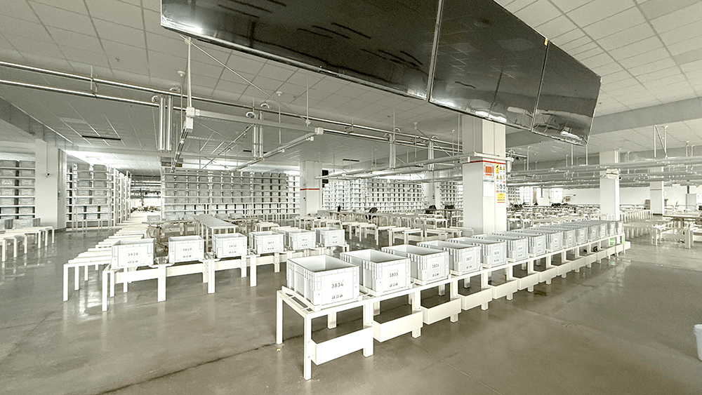 刘潭服装：车间建设扎实推进，设备进场与安全规划并行